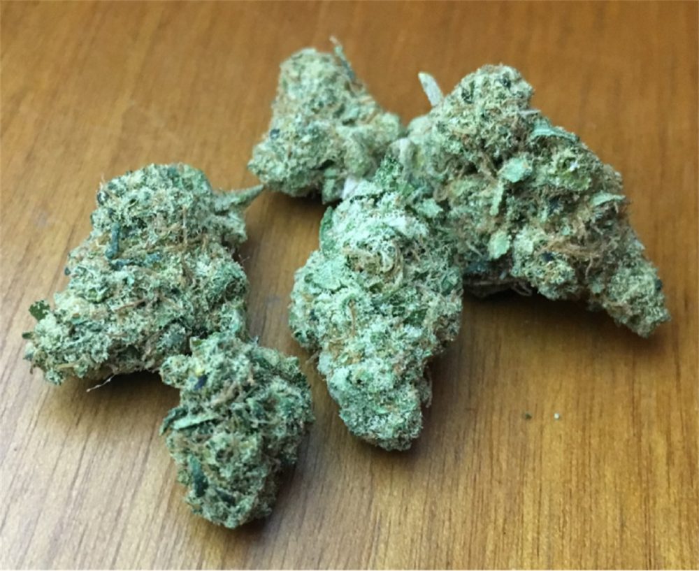 XJ 13 (SATIVA)
