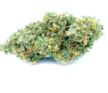 Blue Dream (SATIVA)