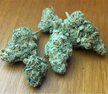 XJ 13 (SATIVA)